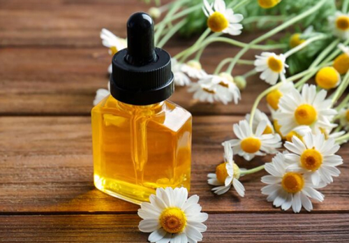 German Chamomile Oil