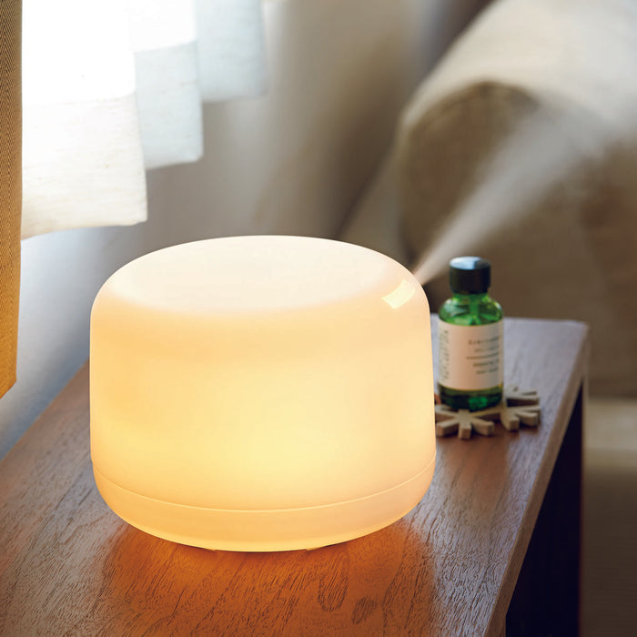 Best Essential Oil Diffuser 2026: Top Picks & Guide